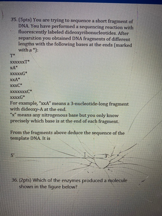 Solved 35. (5pts) You are trying to sequence a short | Chegg.com