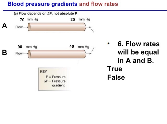 Negen Archeoloog Natte sneeuw Solved Blood pressure gradients and flow rates (c) Flow | Chegg.com