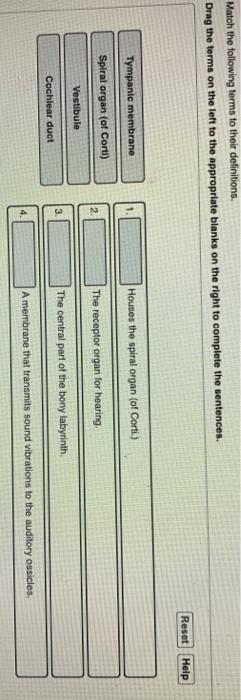 Solved Match the following terms to their definitions. Drag | Chegg.com