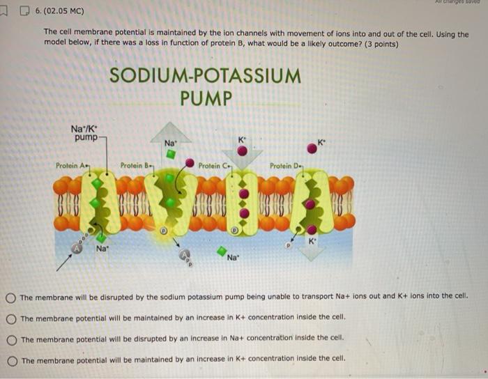 6.(02.05 MC) The cell membrane potential is | Chegg.com