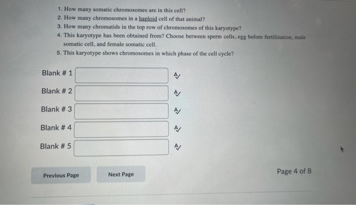 Solved Please answer these questions as soon as possible. | Chegg.com