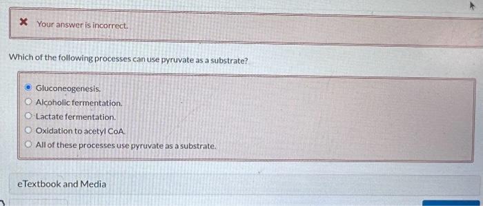 Your answer is incorrect.
Which of the following processes can use pyruvate as a substrate?
Gluconeogenesis,
Alcoholic fermen