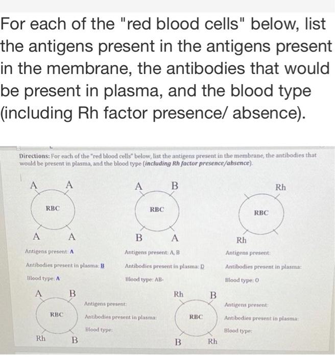 solved-for-each-of-the-red-blood-cells-below-list-the-chegg