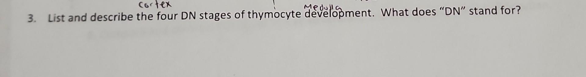 Solved 3 List And Describe The Four DN Stages Of Thymocyte Chegg solved-3-list-and-describe-the-four-dn-stages-of-thymocyte-chegg