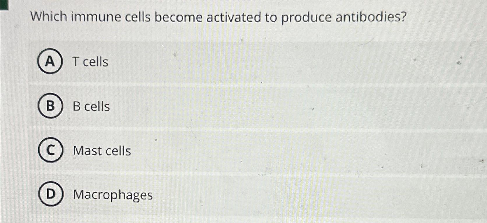 Solved Which immune cells activated to produce