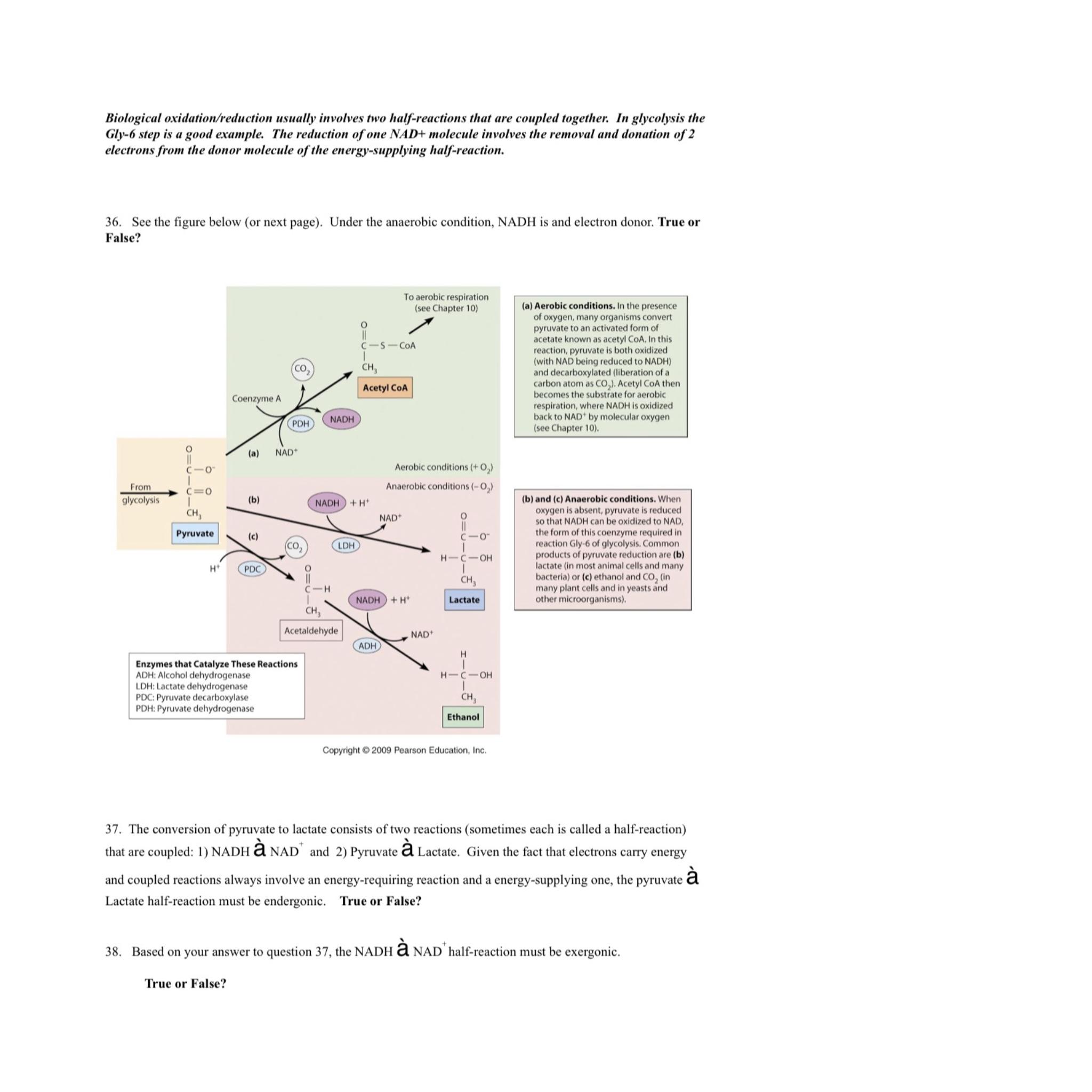 Solved Question 36, 37,38 | Chegg.com