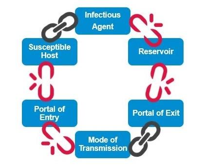 Solved From this picture, give three examples of each step | Chegg.com