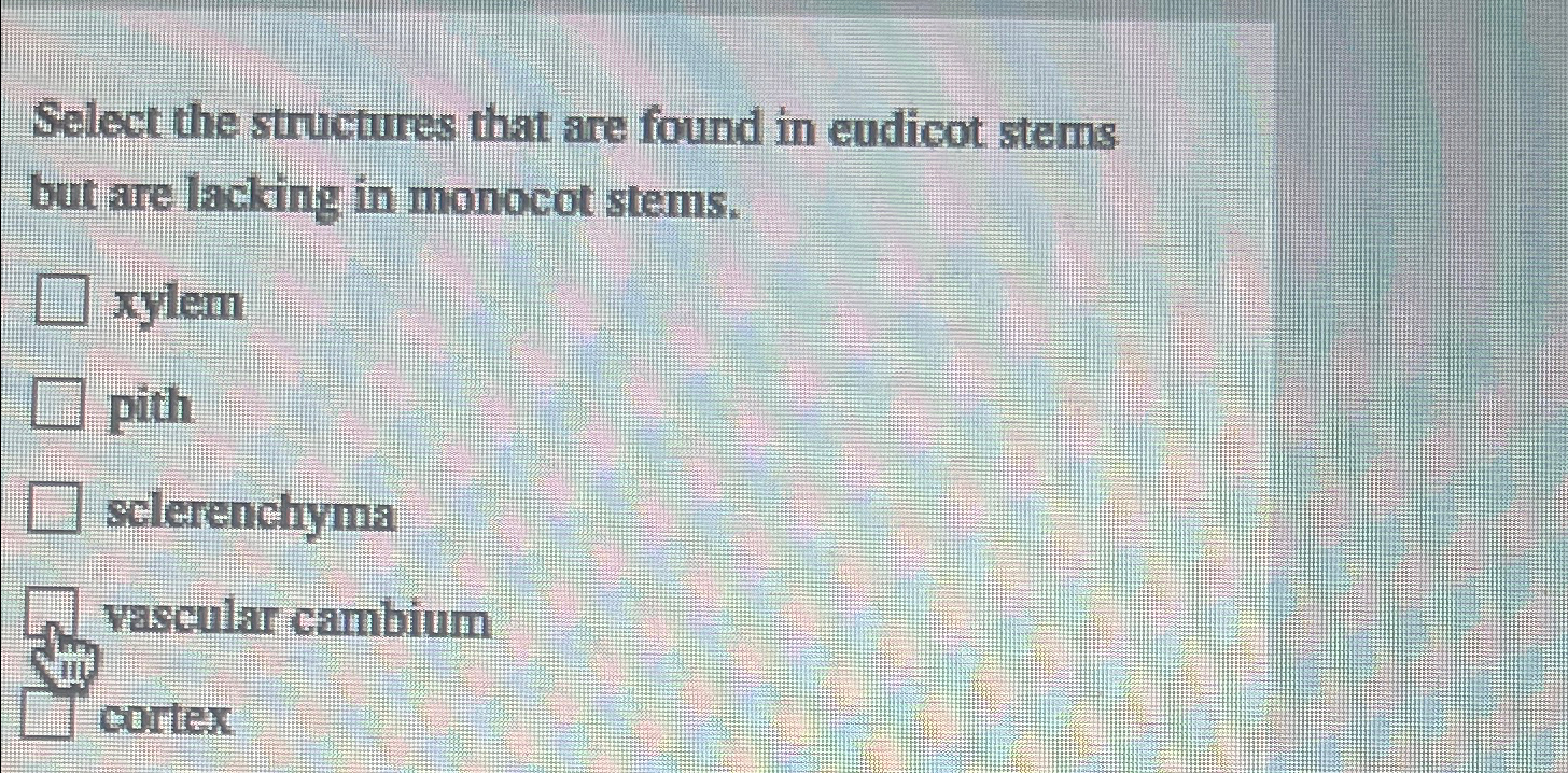 Select the structures that are found in eudicot stems | Chegg.com