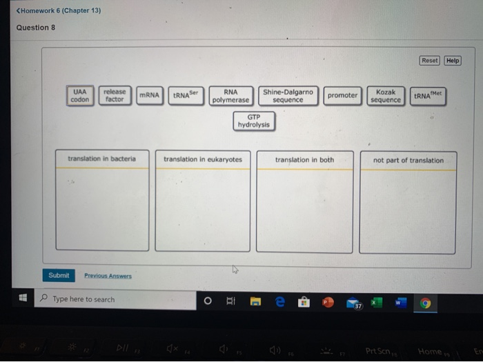 Solved translation is divided into three phases: initiation, | Chegg.com