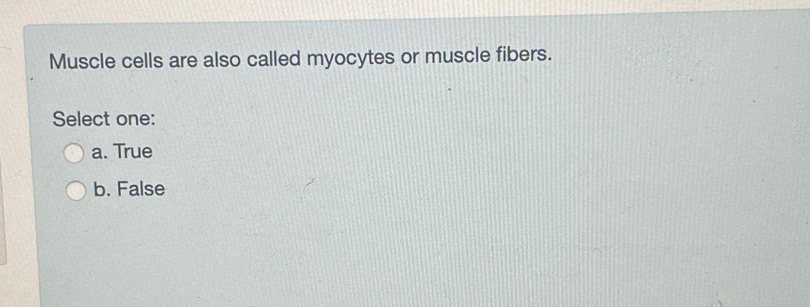 Solved Muscle cells are also called myocytes or muscle | Chegg.com