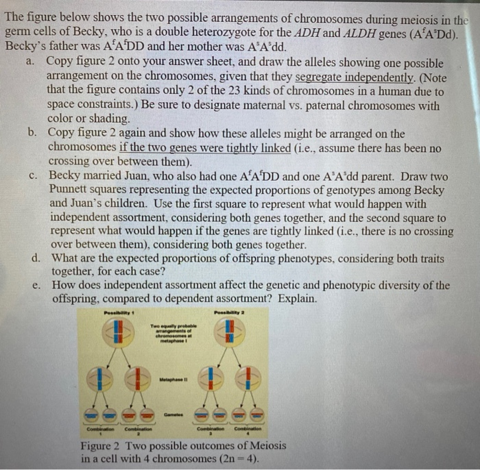 Solved The figure below shows the two possible arrangements | Chegg.com