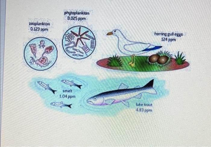 Great Lakes Canada on X: #Fish consumption guidelines set limits on how  much fish is safe to eat based on the presence of chemicals like PCBs and  mercury, which can be passed