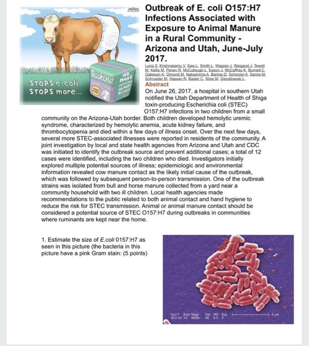 Solved Backend NO MORE Outbreak Of E. Coli O157:H7 | Chegg.com