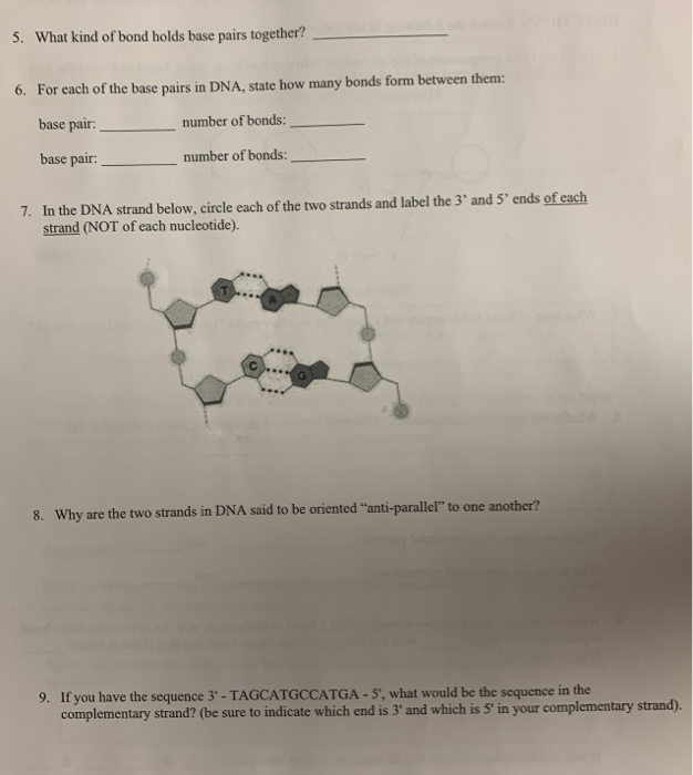 Solved 1 Label The Three Components Of The Nucleotide Below 5890