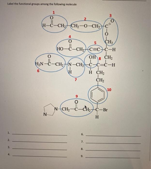 Solved Label the functional groups among the following | Chegg.com