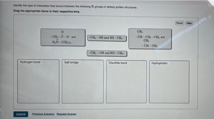 Solved Identify the amino acids between the following R | Chegg.com
