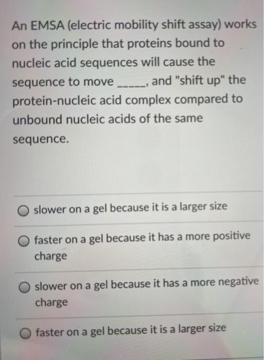 Solved An EMSA (electric mobility shift assay) works on the | Chegg.com
