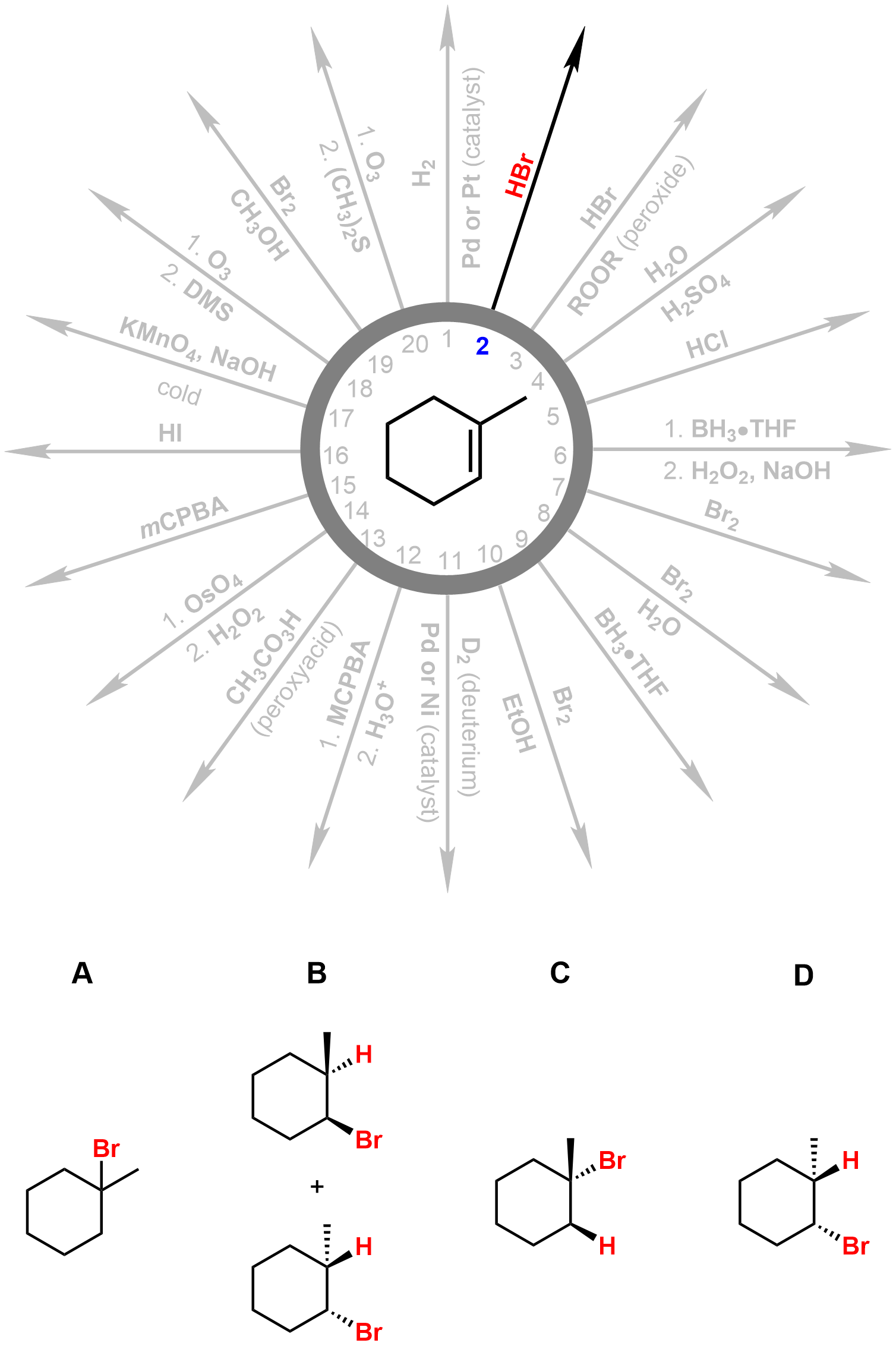 Solved Please predict the products for each of the following | Chegg.com