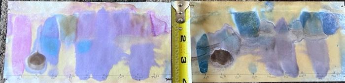 2 E N Table 1: Chromatography Data Color Color Ion | Chegg.com