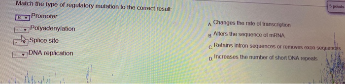 Solved 5 points Match the type of regulatory mutation to the | Chegg.com