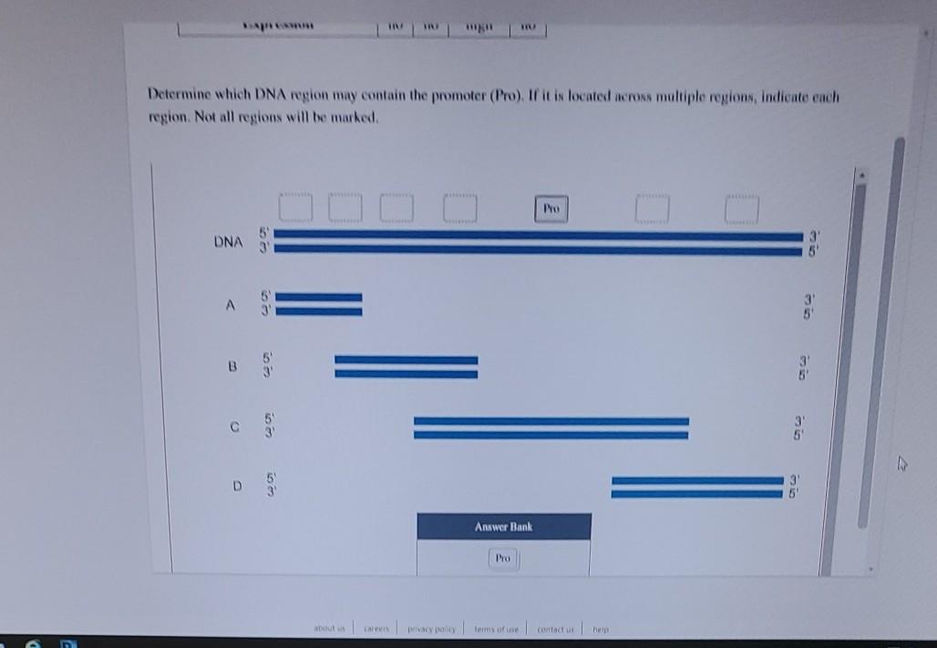 Solved IN Determine which DNA region may contain the | Chegg.com
