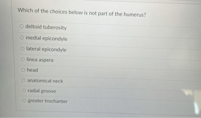 Which of the choices below is not part of the humerus? o deltoid tuberosity O medial epicondyle lateral epicondyle o linea as