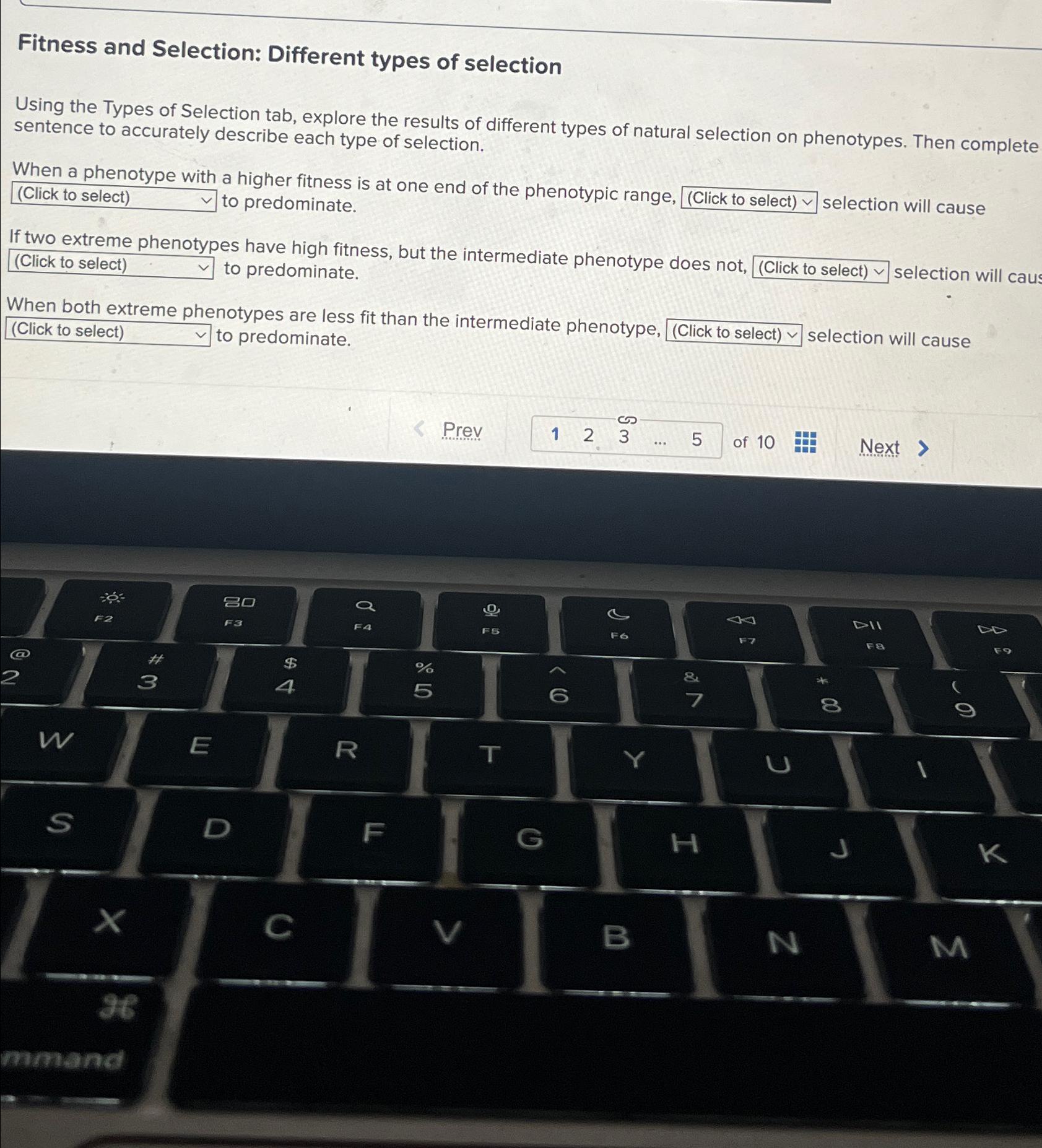 Solved Fitness and Selection Different types of