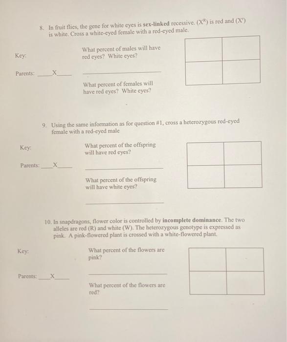 Punnett Square Worksheet Directions Read Each Chegg Com