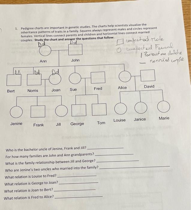 Solved 1. Pedigree charts are important in genetic studies. | Chegg.com