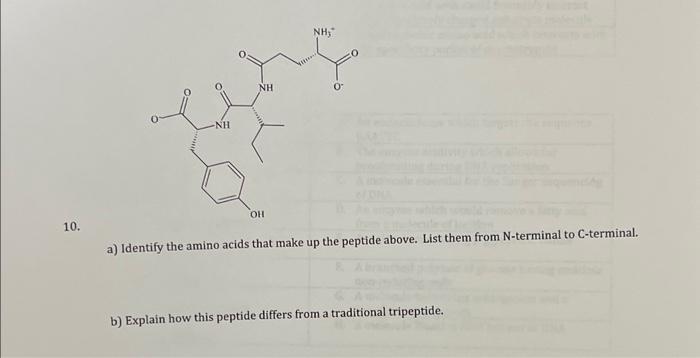 Solved a) Identify the amino acids that make up the peptide | Chegg.com