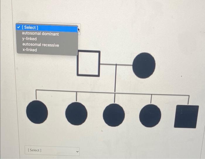 Solved Choose the correct inheritance pattern for each of | Chegg.com