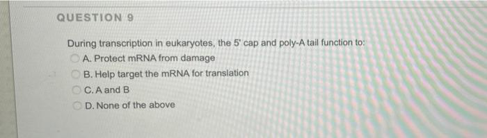 Solved QUESTION 9 During transcription in eukaryotes, the 5' | Chegg.com