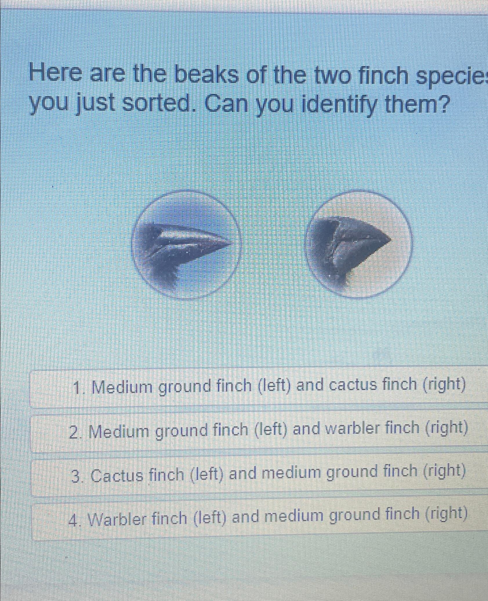 Solved Here are the beaks of the two finch specie you just | Chegg.com