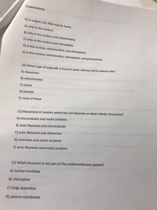 E Peroxisome 9 In A Plant Cell Dna May Be Found A Chegg Com