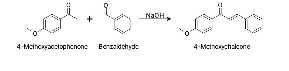 Solved + NaOH | Chegg.com