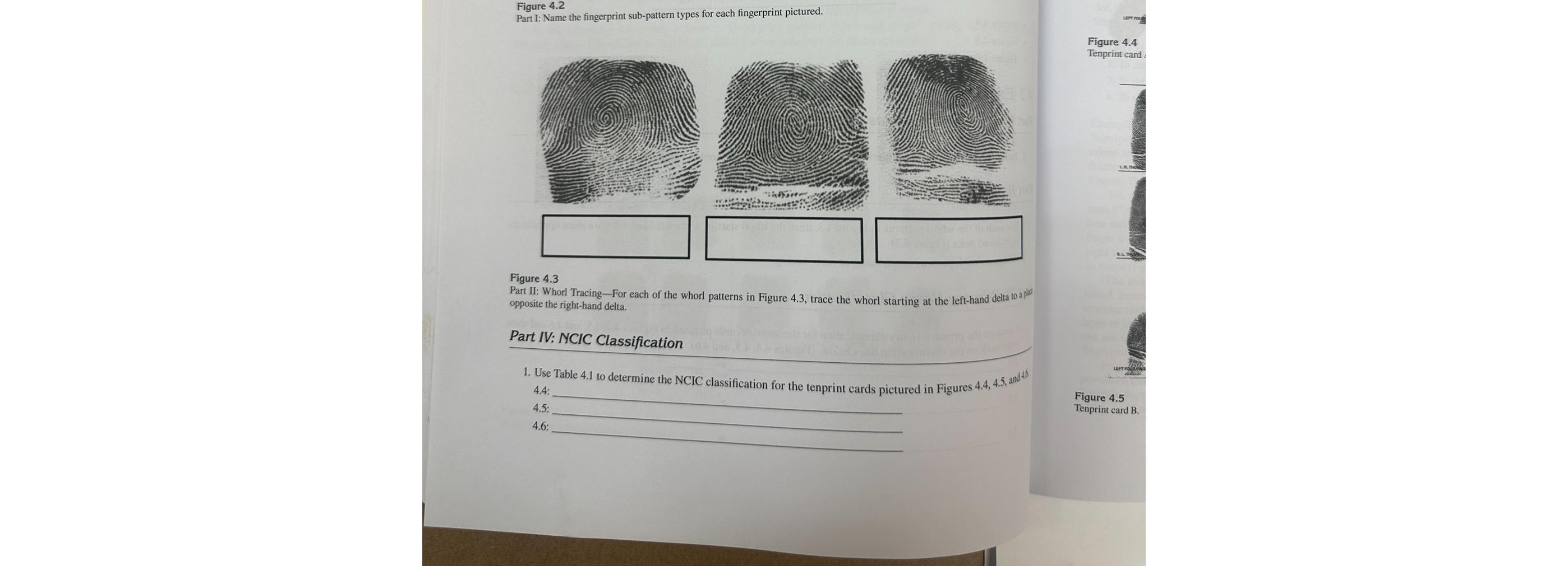 Solved Figure 4.2Part I: Name the fingerprint sub-pattern | Chegg.com