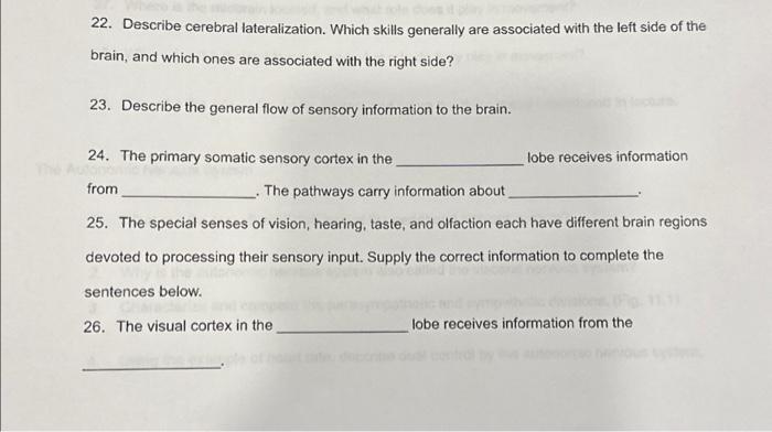 Solved 22. Describe cerebral lateralization. Which skills | Chegg.com