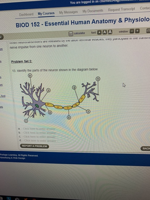 Solved You are logged in as cburel.549 LUDWI Request | Chegg.com