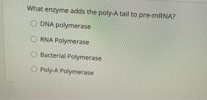 Solved What enzyme adds the poly-A tail to pre-mRNA? DNA | Chegg.com