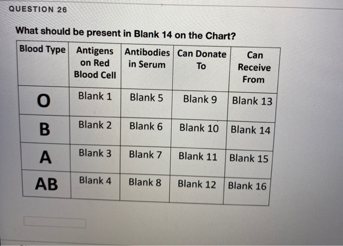 question-video-describing-the-shape-of-a-red-blood-cell-and-recalling