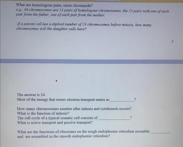 Solved What are homologous pairs, sister chromatids? e.g., | Chegg.com