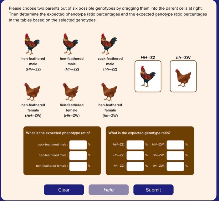 Solved what is the expected phenotype and genotype ratio for | Chegg.com