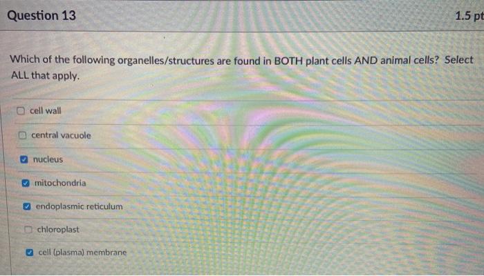 solved-question-13-1-5-pt-which-of-the-following-chegg