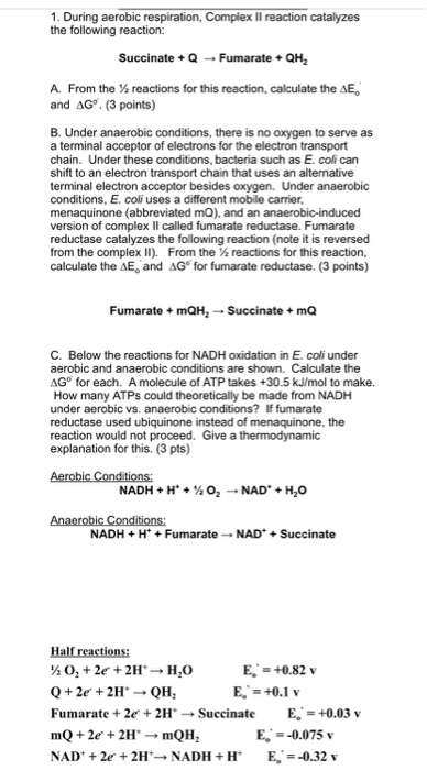 Solved Site Of Entry Of Electron From Nadh And Fadh2 Suc Chegg Com