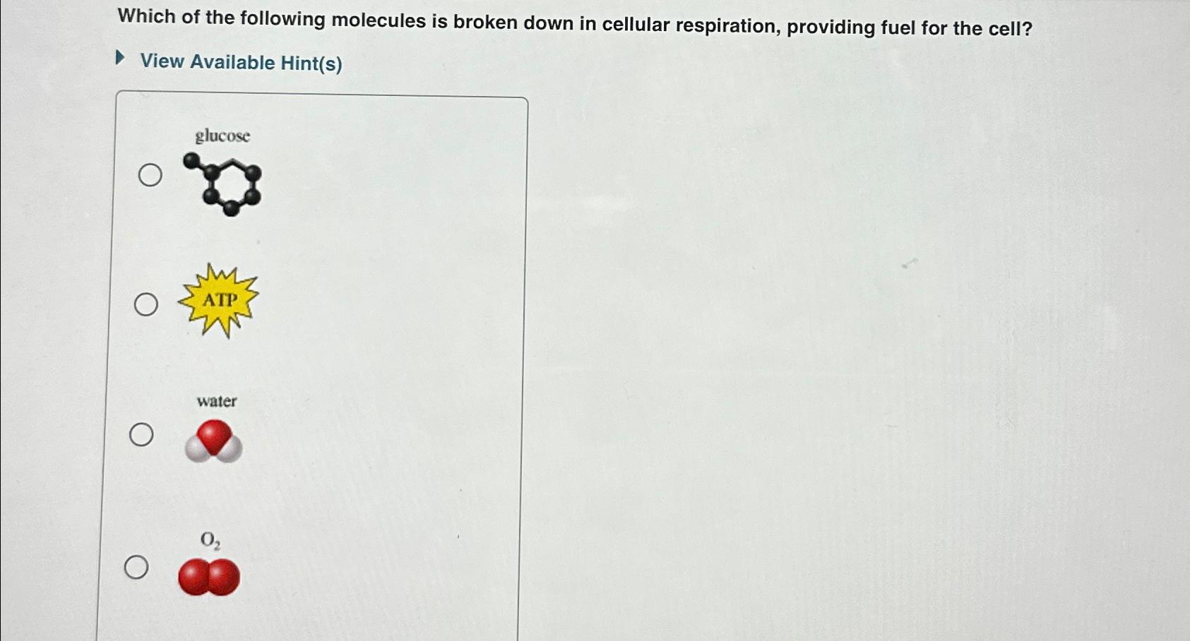 Solved Which of the following molecules is broken down in | Chegg.com