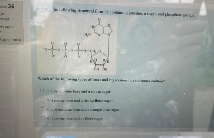 Solved 34 At which pH does a protein have a net positive | Chegg.com