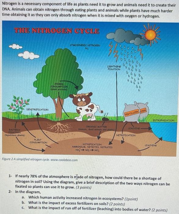 Solved Nitrogen is a necessary component of life as plants | Chegg.com