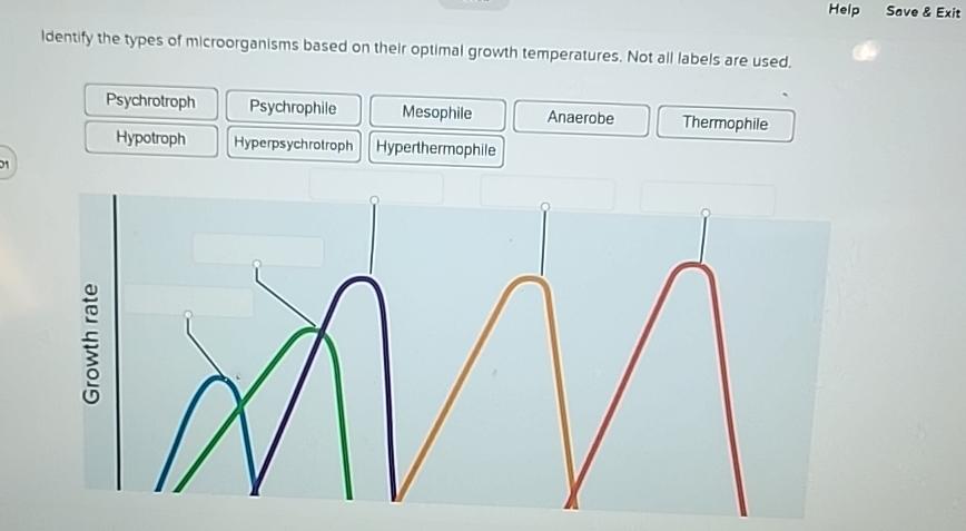 Solved HelpSave & ExitIdentify the types of microorganisms | Chegg.com
