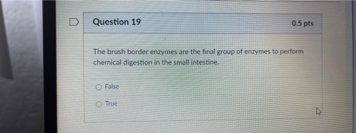 Solved Lactase Is An Enzyme Involved In The Chemical | Chegg.com