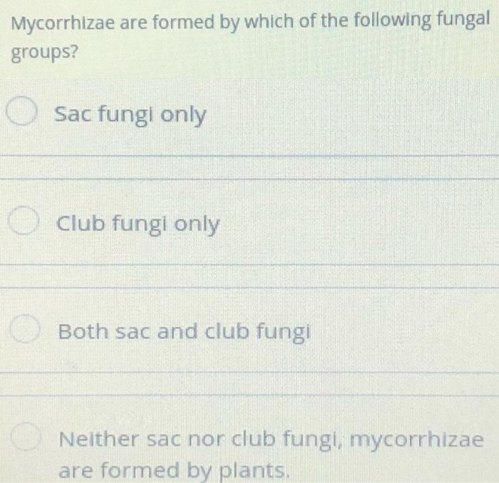 Mycorrhizae Are Formed By Which Of The Following Chegg Com